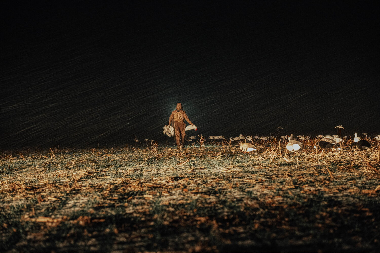The blind at dawn
