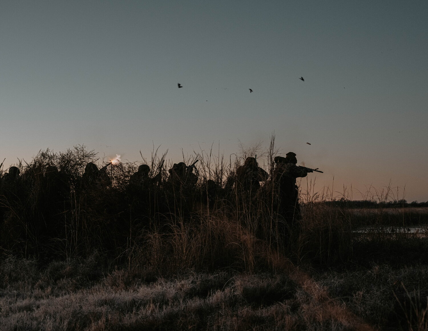 Sunrise over the field
