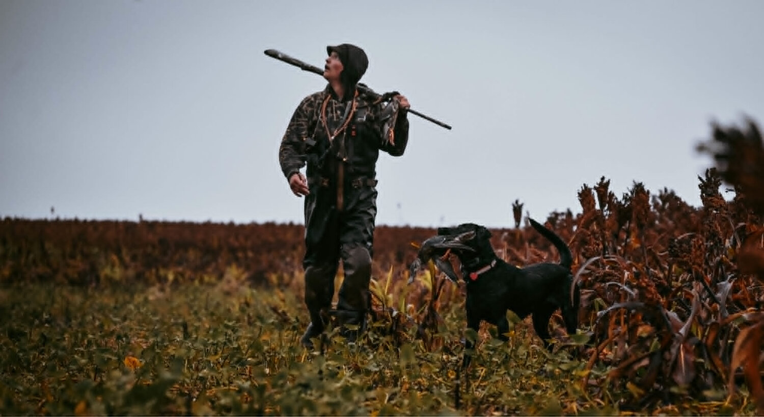 Guide and his lab in the field